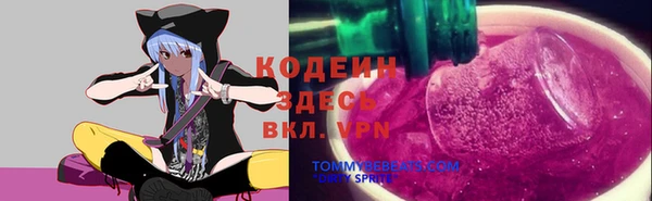 бошки Заводоуковск
