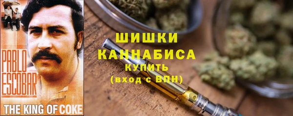 бошки Заводоуковск