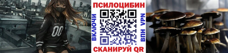 где купить наркоту  Ирбит  Галлюциногенные грибы Psilocybine cubensis 