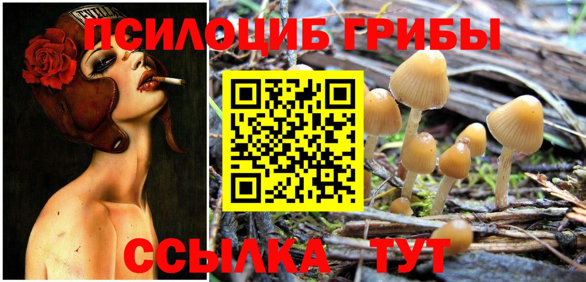 Псилоцибиновые грибы MAGIC MUSHROOMS  Вход с VPN  Ирбит 